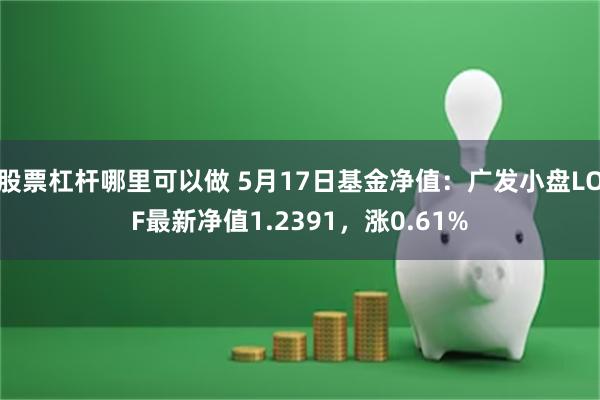 股票杠杆哪里可以做 5月17日基金净值：广发小盘LOF最新净值1.2391，涨0.61%