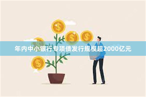 年内中小银行专项债发行规模超2000亿元