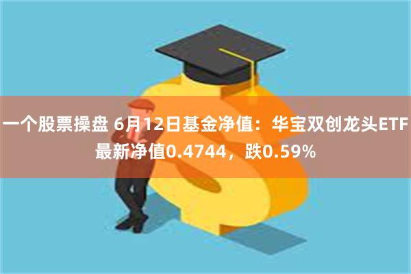 一个股票操盘 6月12日基金净值：华宝双创龙头ETF最新净值0.4744，跌0.59%