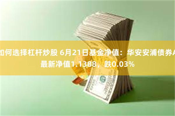 如何选择杠杆炒股 6月21日基金净值：华安安浦债券A最新净值1.1388，跌0.03%