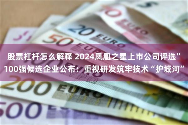 股票杠杆怎么解释 2024凤凰之星上市公司评选”100强候选企业公布：重视研发筑牢技术“护城河”