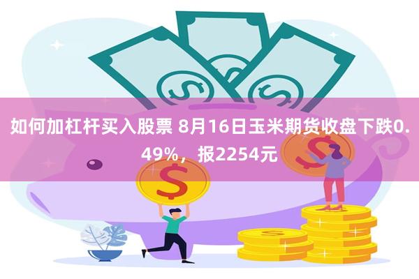 如何加杠杆买入股票 8月16日玉米期货收盘下跌0.49%，报2254元