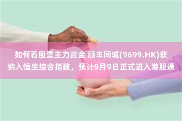 如何看股票主力资金 顺丰同城(9699.HK)获纳入恒生综合指数，预计9月9日正式进入港股通