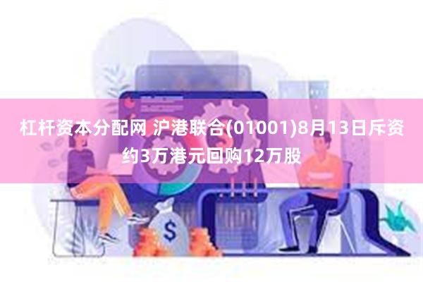 杠杆资本分配网 沪港联合(01001)8月13日斥资约3万港元回购12万股