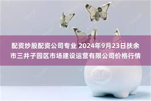 配资炒股配资公司专业 2024年9月23日扶余市三井子园区市场建设运营有限公司价格行情