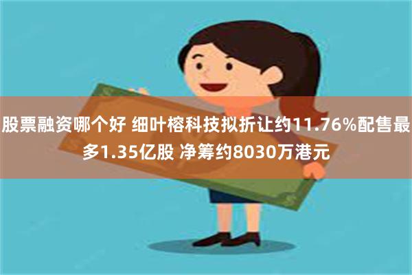 股票融资哪个好 细叶榕科技拟折让约11.76%配售最多1.35亿股 净筹约8030万港元