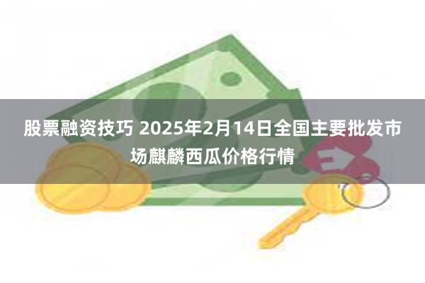 股票融资技巧 2025年2月14日全国主要批发市场麒麟西瓜价格行情