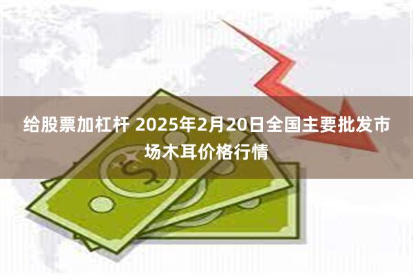 给股票加杠杆 2025年2月20日全国主要批发市场木耳价格行情