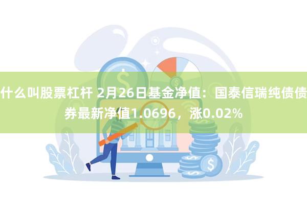 什么叫股票杠杆 2月26日基金净值：国泰信瑞纯债债券最新净值1.0696，涨0.02%